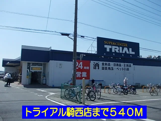 トライアル騎西店まで540m