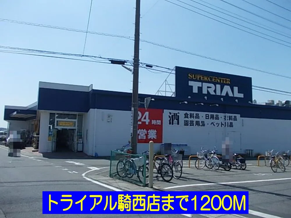 トライアル騎西店まで1200m