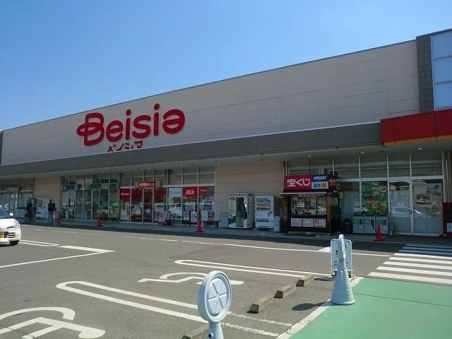 ベイシア渋川こもち店まで1100m