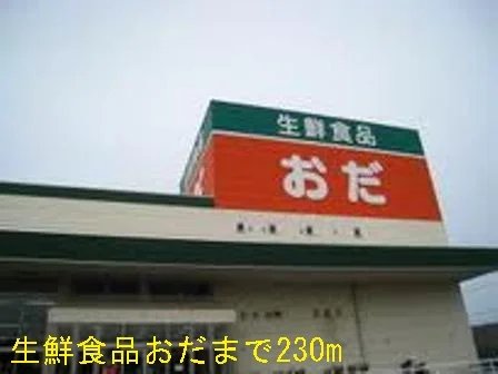 生鮮食品おだまで230m