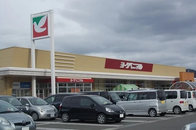 ヨークベニマル太平寺店まで600m