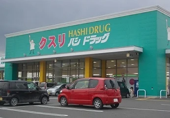 ハシドラッグ南福島店まで900m