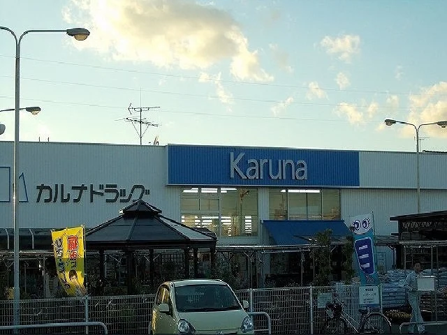 カルナドラッグ小坂井店様まで300m