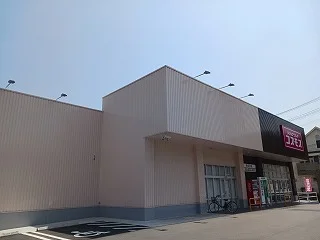 コスモスまで130m