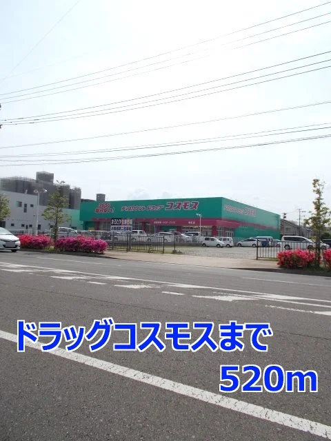 ドラッグコスモスまで520m