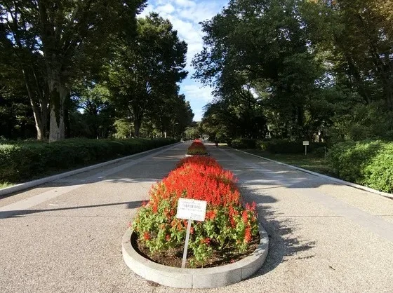 小金井公園