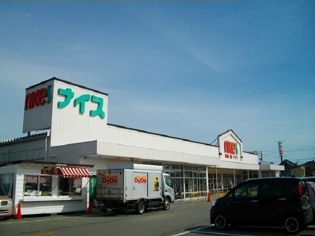 ナイス　追分店まで1200m