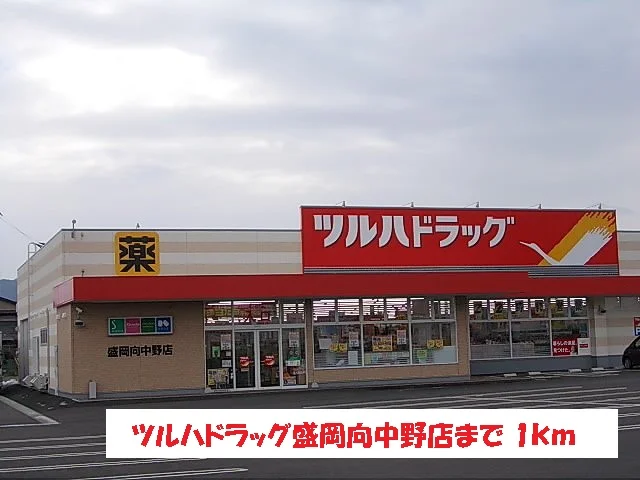 ツルハドラッグ盛岡向中野店まで1000m