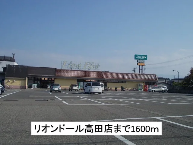 リオンドール高田店まで1600m