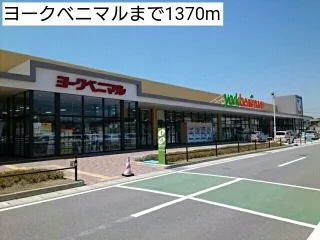 ヨークベニマルまで1370m