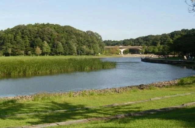 ２１世紀の森と広場まで850m