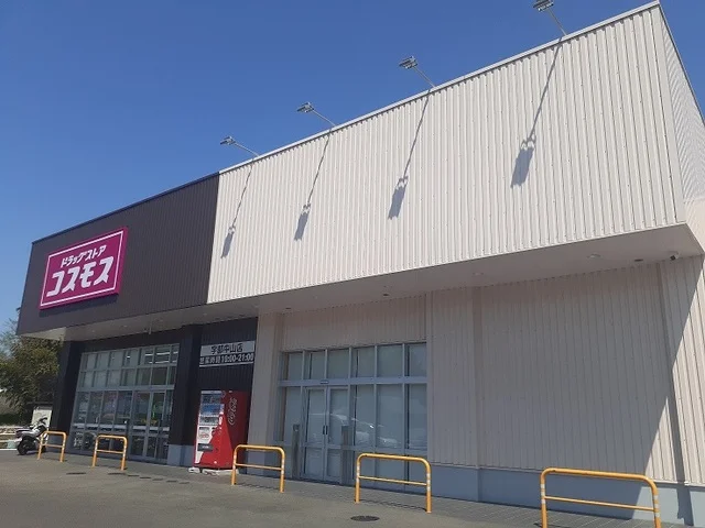 ドラッグストアコスモスまで500m