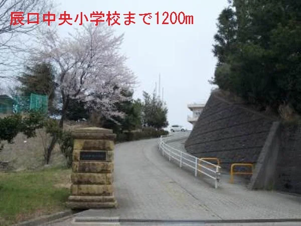 辰口中央小学校まで1200m