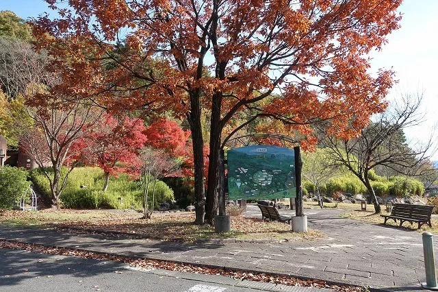 かざこし子どもの森公園まで550m