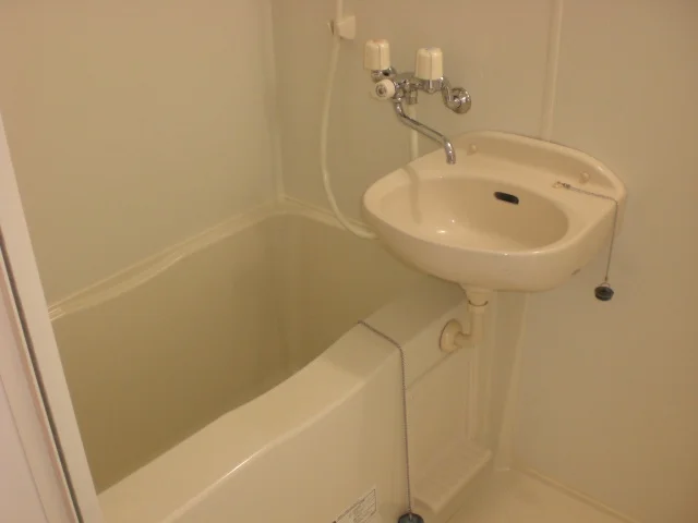 洗面台付き浴室。