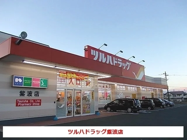 ツルハドラッグ紫波店まで1500m