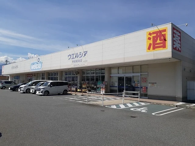 ウエルシア甲府昭和店まで300m