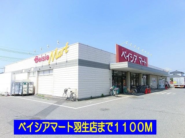 ベイシアマート羽生店まで1100m