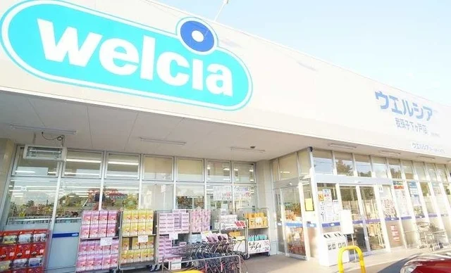 ウエルシア下ヶ戸店まで1000m