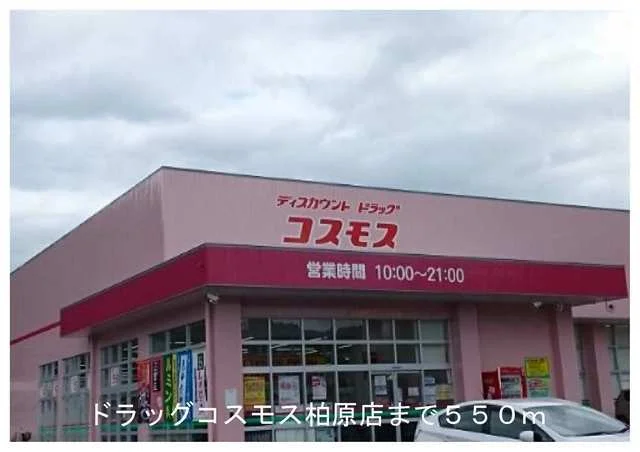ドラッグストアコスモスまで550m