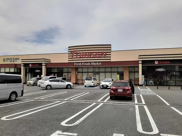 とりせんみらい平店まで550m