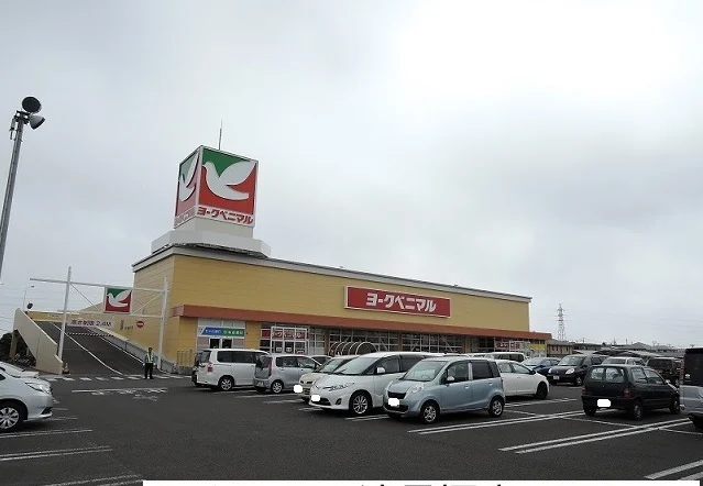 ヨークベニマル遠見塚店まで500m