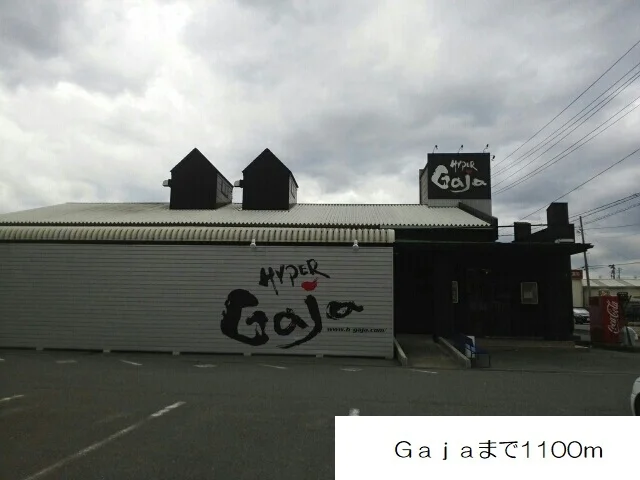 Gajaまで1100m