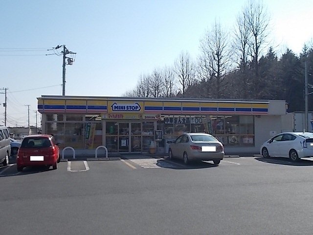 ミニストップ高野台店まで800m