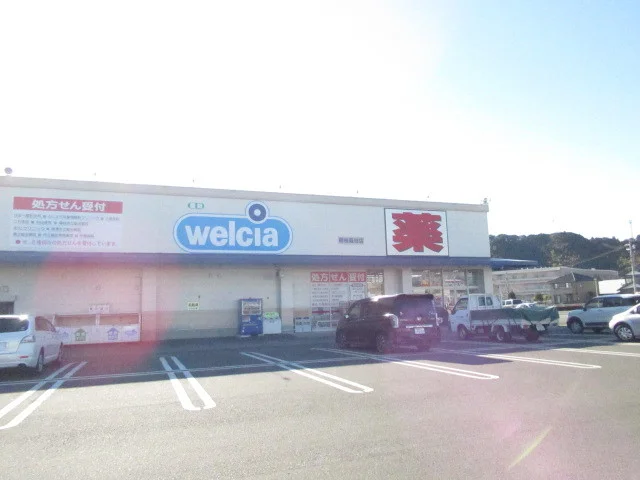 ウエルシア藪田店まで200m