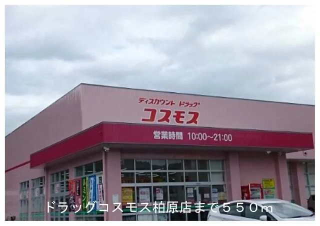 ドラッグストアコスモスまで550m