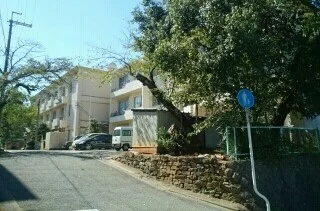 海南市立　巽小学校様まで650m