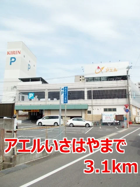 アエルいさはやまで3100m