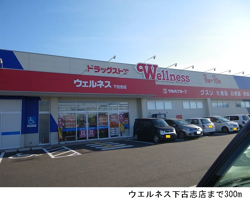 ウエルネス下古志店まで300m