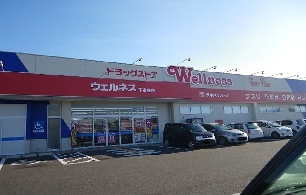 ウェルネス下古志町店まで2200m