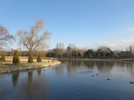 洞峰公園まで1200m