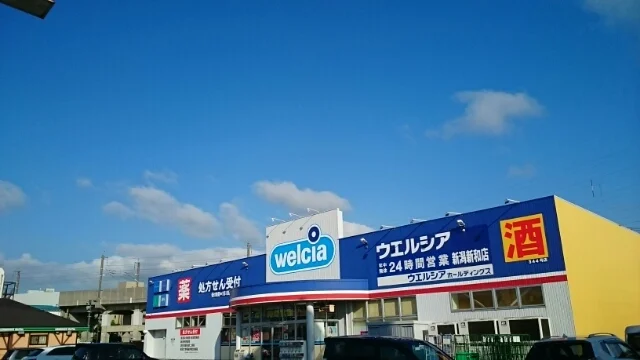 ウエルシア新潟新和店まで800m