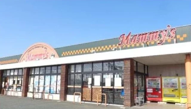 マミーズ大刀洗店まで1600m