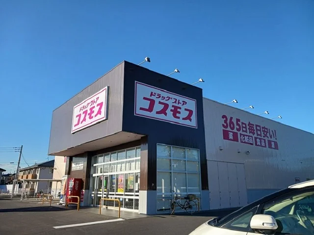 コスモス　堀町店まで550m