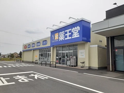 薬王堂 ＳＣ水沢店まで550m