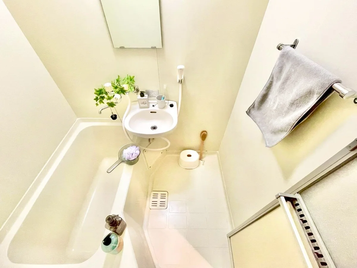 ※撮影用の観察植物・食器調理器具・雑貨類等はございません。※写真は現況優先