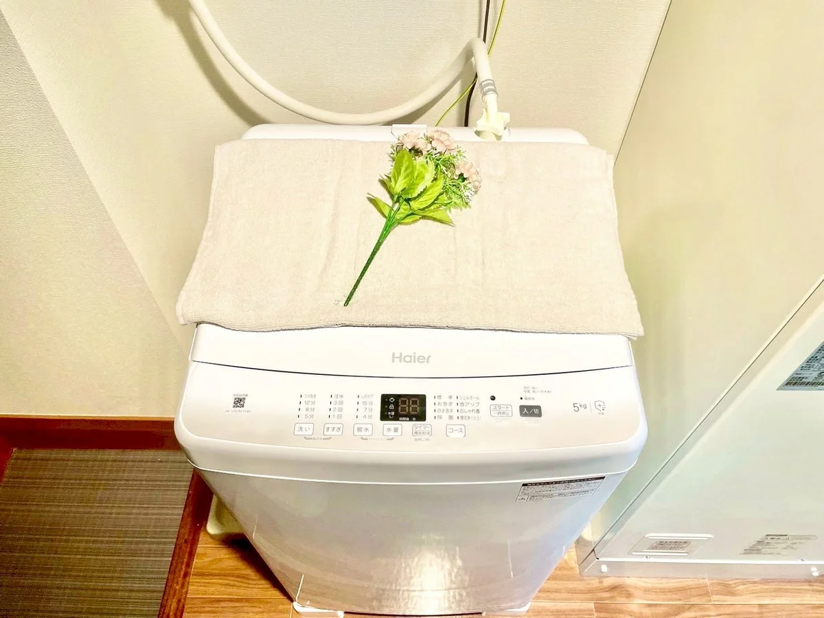 ※撮影用の観察植物・食器調理器具・雑貨類等はございません。※写真は現況優先