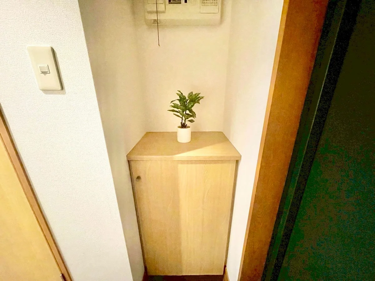 ※撮影用の観察植物・食器調理器具・雑貨類等はございません。※写真は現況優先