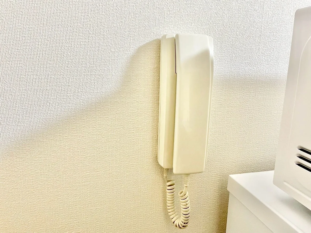 ※撮影用の観察植物・食器調理器具・雑貨類等はございません。※写真は現況優先