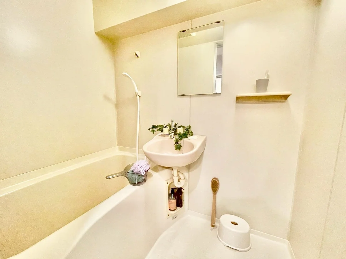 ※撮影用の観察植物・食器調理器具・雑貨類等はございません。※写真は現況優先