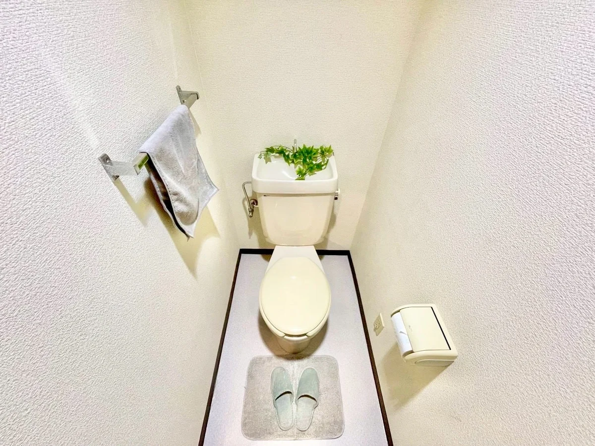 ※撮影用の観察植物・食器調理器具・雑貨類等はございません。※写真は現況優先