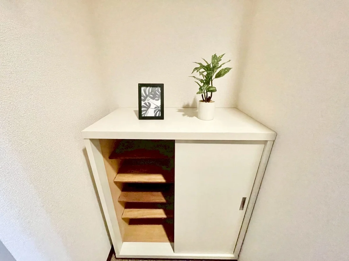 ※撮影用の観察植物・食器調理器具・雑貨類等はございません。※写真は現況優先