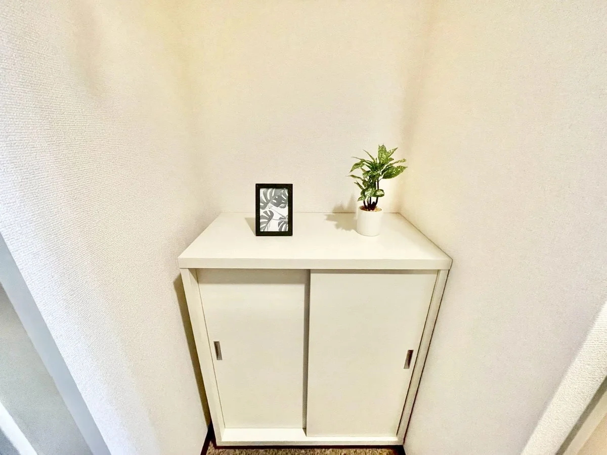 ※撮影用の観察植物・食器調理器具・雑貨類等はございません。※写真は現況優先