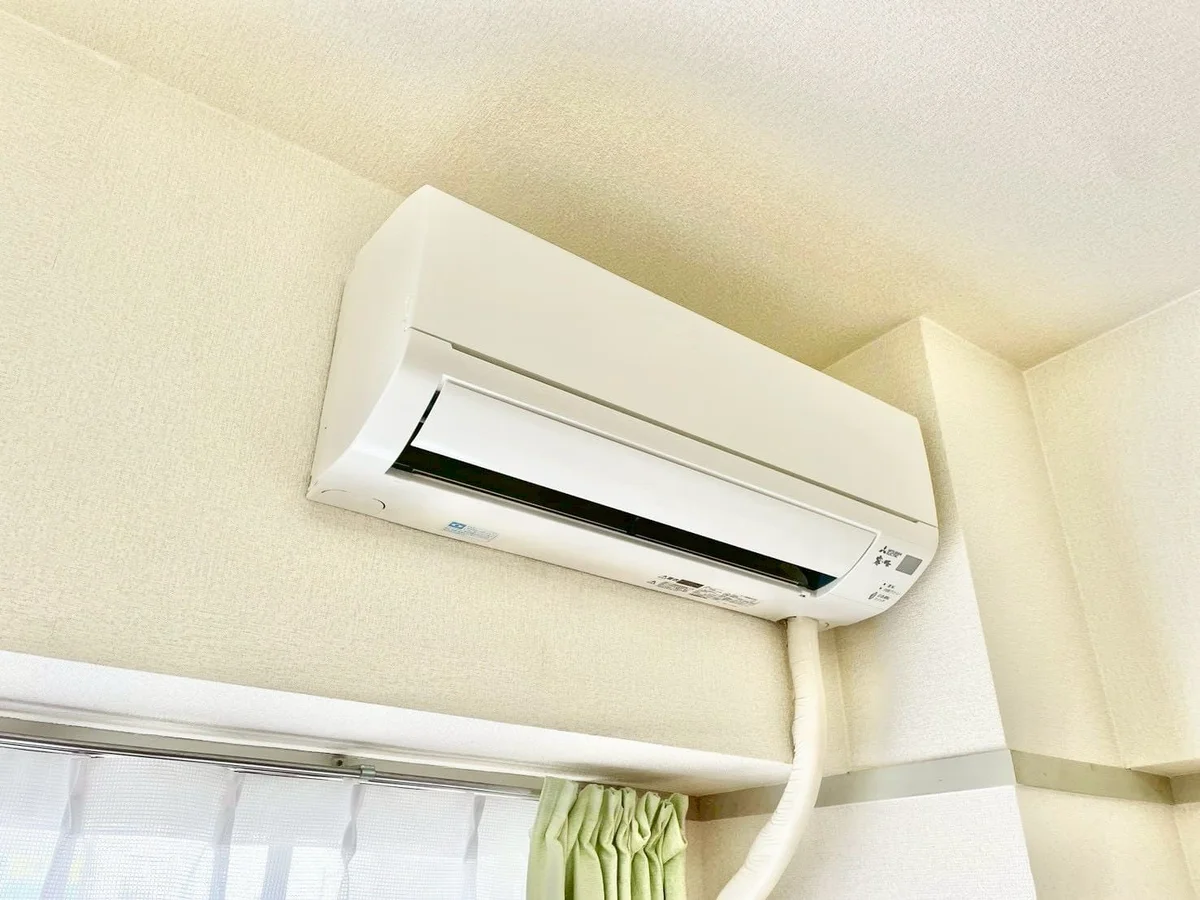 ※撮影用の観察植物・食器調理器具・雑貨類等はございません。※写真は現況優先