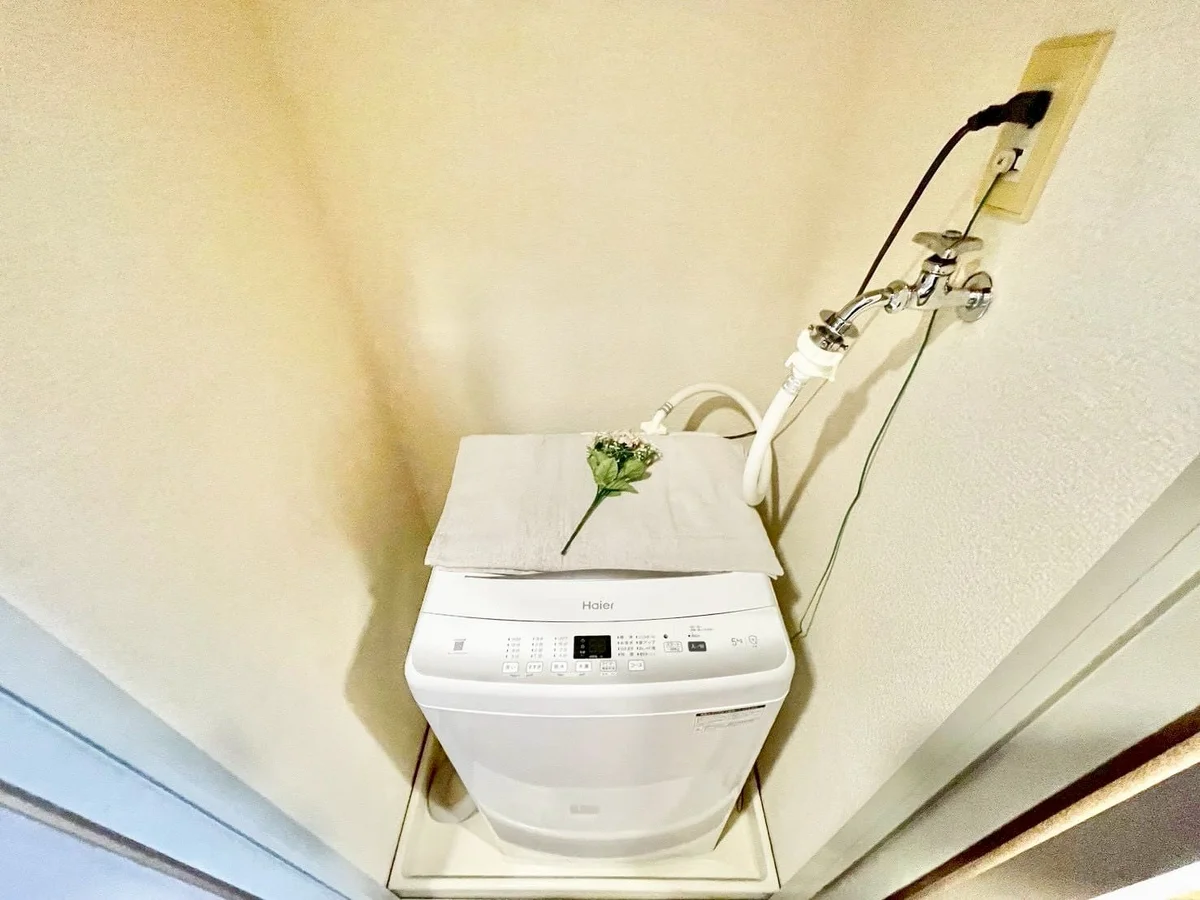 ※撮影用の観察植物・食器調理器具・雑貨類等はございません。※写真は現況優先