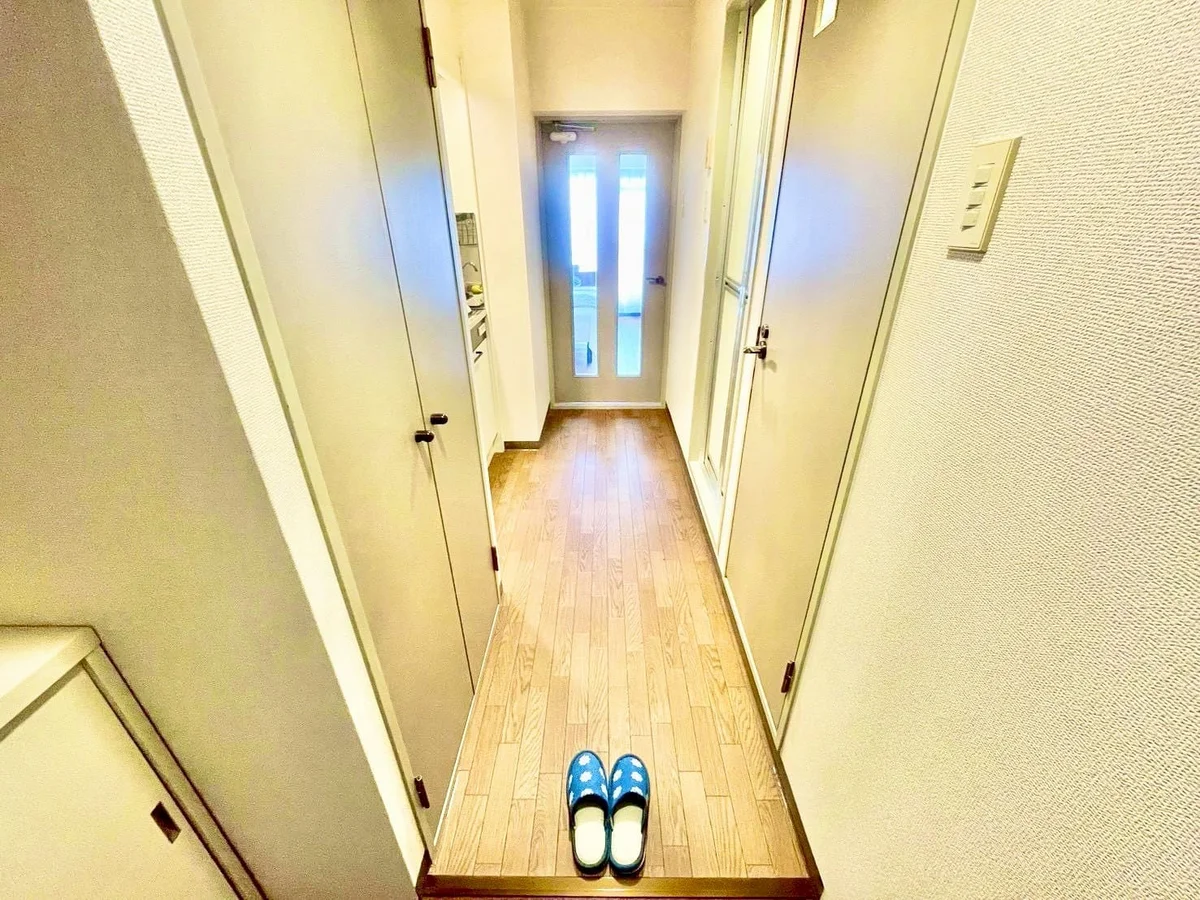 ※撮影用の観察植物・食器調理器具・雑貨類等はございません。※写真は現況優先